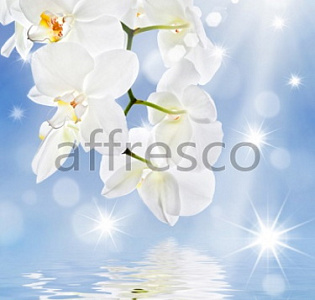 Affresco Фрески и фотообои ID11769