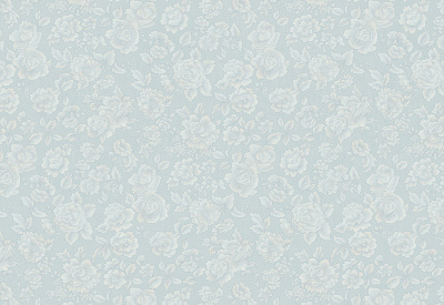 Обои виниловые на флизелиновой основе