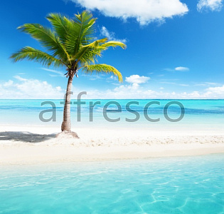 Affresco Фрески и фотообои ID12874