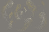 90029-012