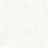 RGI1006-1