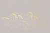 90020-015