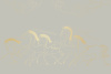 90020-004