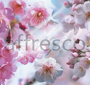 Affresco Фрески и фотообои 7066