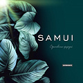 Samui Samui