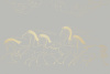 90020-018