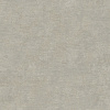 RGI1006-5