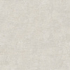 RGI1006-2
