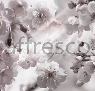 Affresco Фрески и фотообои 7067