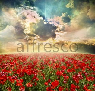 Affresco Фрески и фотообои ID12399