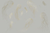 90029-018