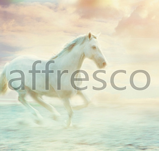 Affresco Фрески и фотообои ID10781