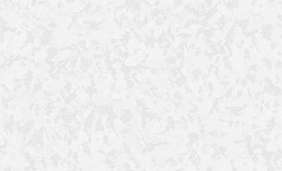 Обои виниловые на флизелиновой основе