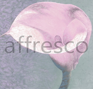 Affresco Фрески и фотообои ID135578