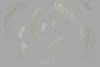 90029-019