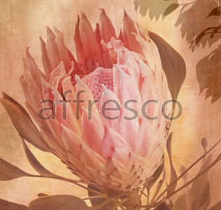 Affresco Фрески и фотообои ID135574