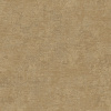 RGI1006-9