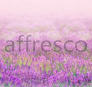 Affresco Фрески и фотообои 9716