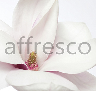 Affresco Фрески и фотообои ID12779