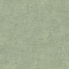 RGI1006-13