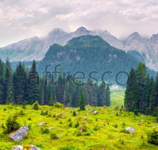 Affresco Фрески и фотообои ID13462