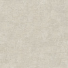 RGI1006-4