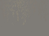 90004-012