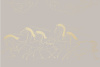 90020-014