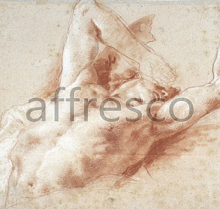 Affresco Фрески и фотообои ID136453