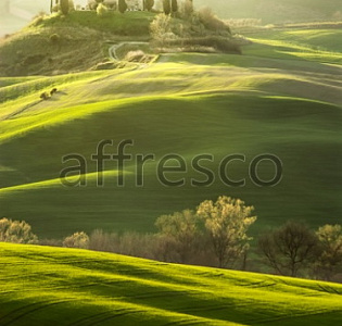 Affresco Фрески и фотообои ID13443