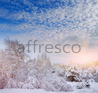 Affresco Фрески и фотообои ID13528