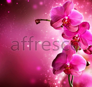 Affresco Фрески и фотообои ID12709