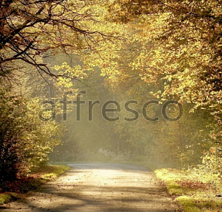 Affresco Фрески и фотообои ID12478