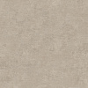 RGI1006-11