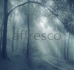 Affresco Фрески и фотообои ID10887