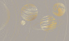 90030-006