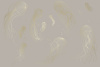 90029-001