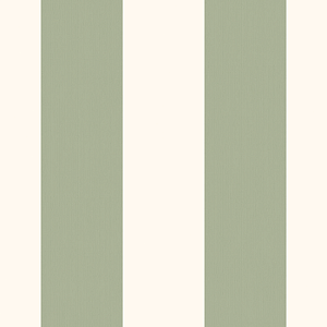 Aura Stripes@Home 580115 для кабинета для загородного дома для комнаты для прихожей белый зеленый