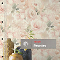 Peonies Peonies