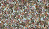 B8204 RA