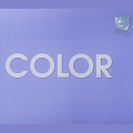 AntiVandal NC Color
