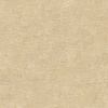 RGI1006-8