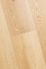 1F069 Дуб Каролина золотой